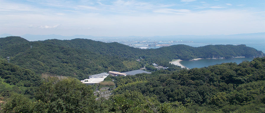 大神子海岸方面の眺めの写真